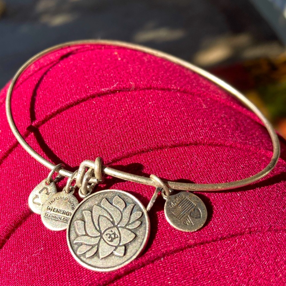 Alex And Ani Charm Bracelets